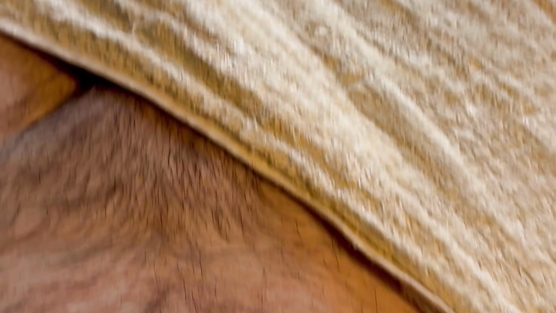 Shower Fresh - vídeo de Pauly_Andrew modelo de câmara