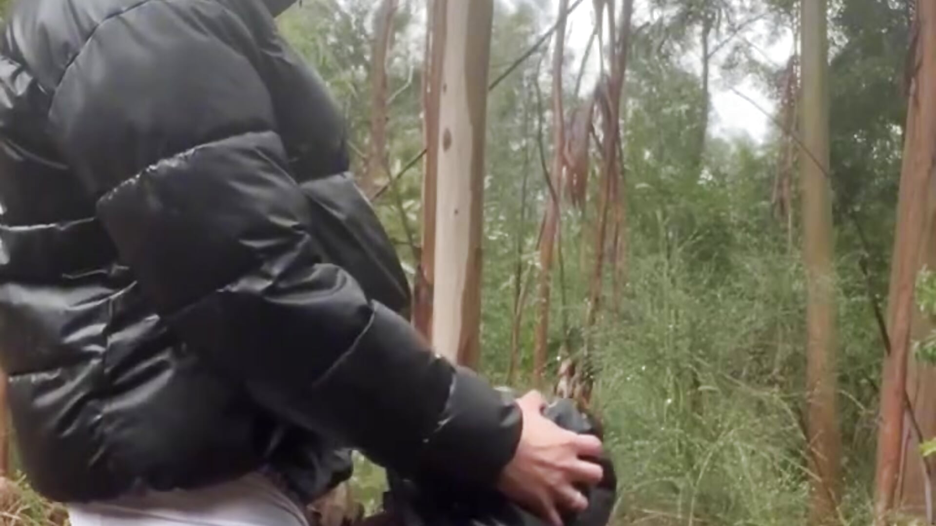 Blowjob on the forest - Vídeo de rossilaari, modelo de vídeos