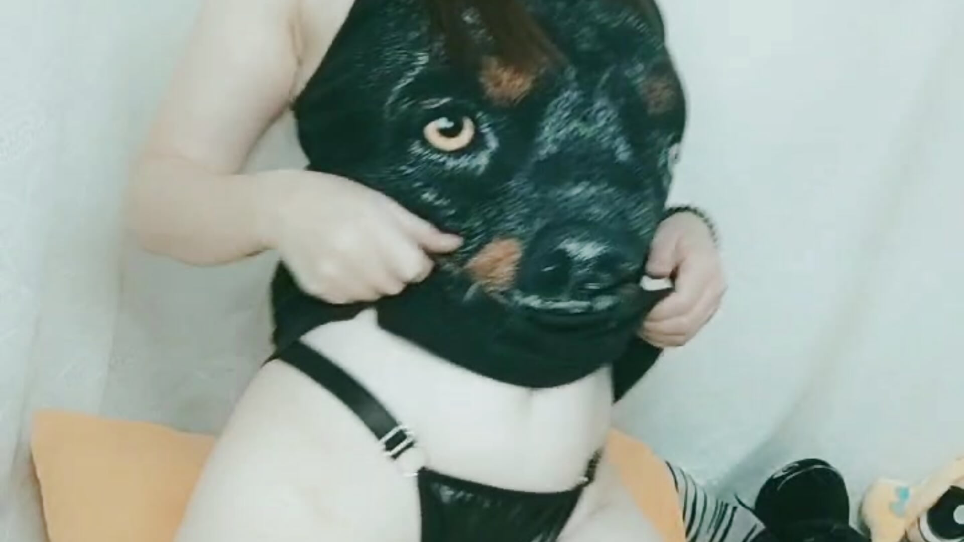 "Your New Favorite Rottie Girl Says Goodnight 💕" - video by Amber_prada cam model