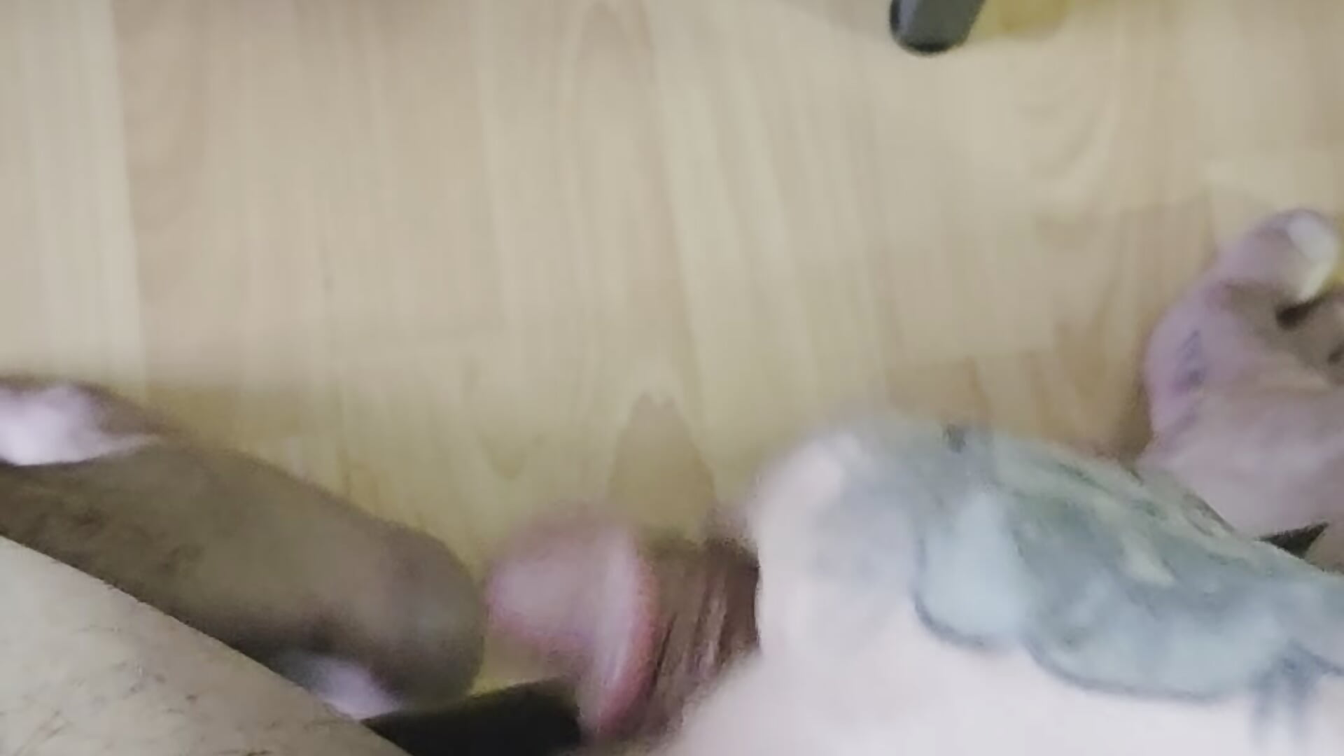 itsthisguy - Δημοφιλές βίντεο μοντέλου με κάμερα 6718