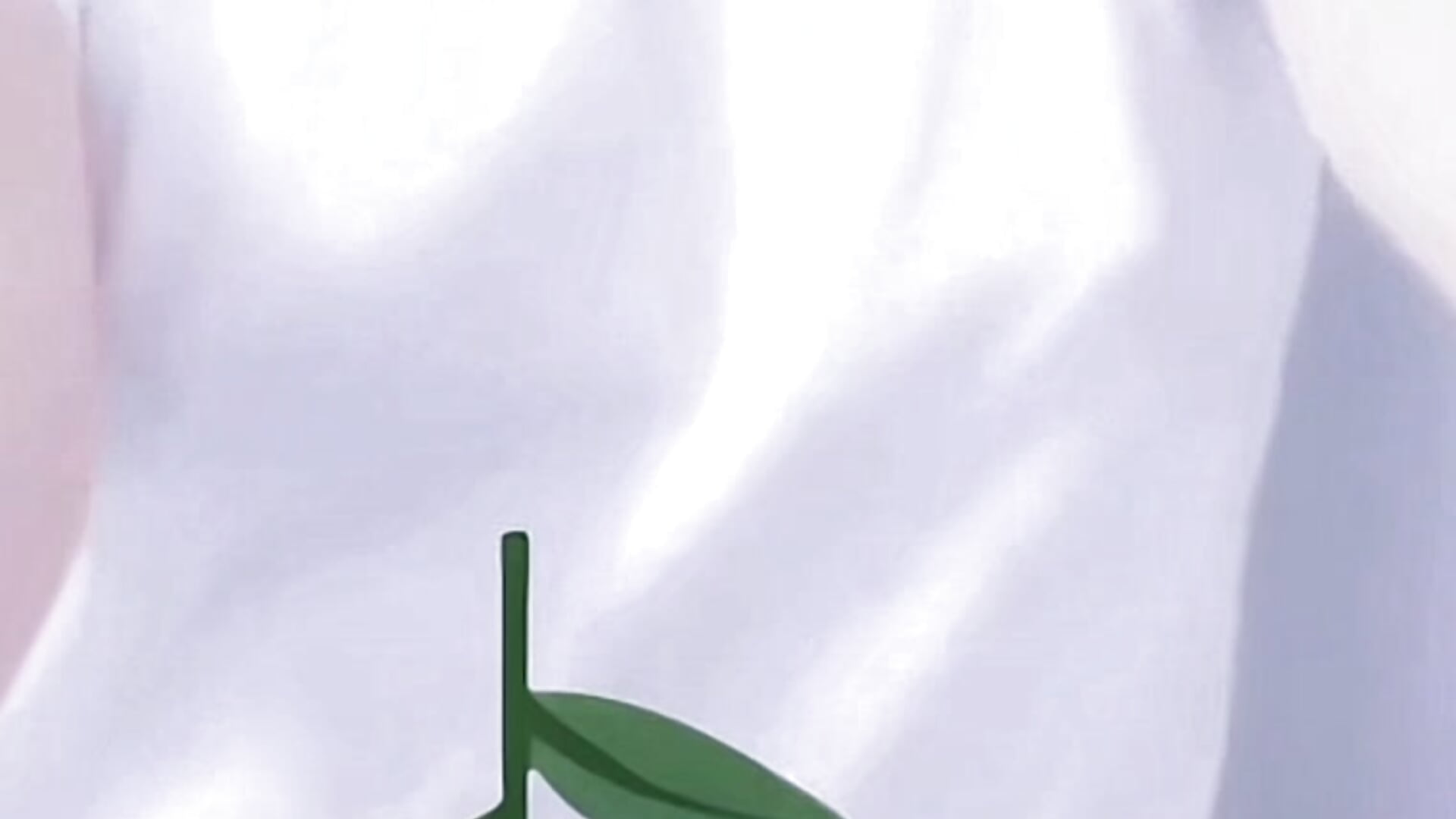 ScreenRecording_02-08-2026 17-15-30_1－カメラキャ ストのyou_chan1の動画