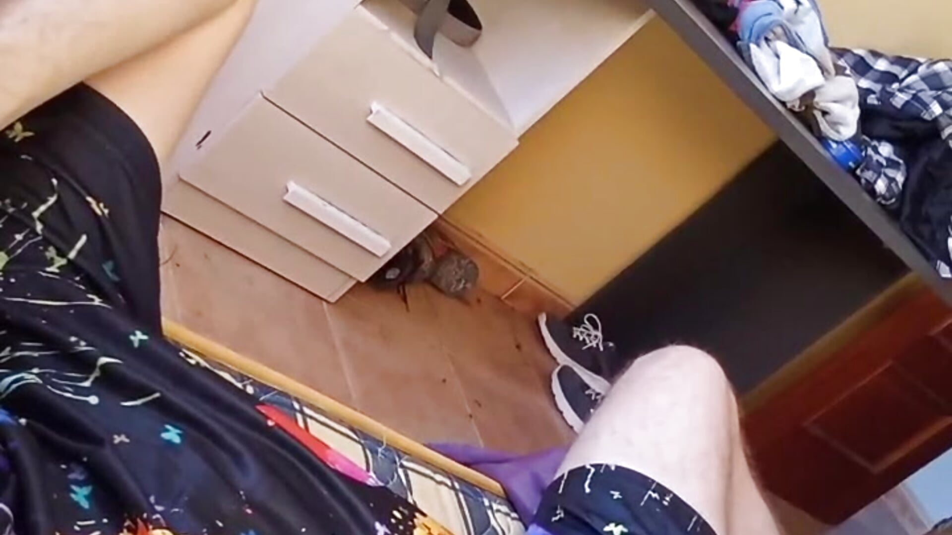 Ruso tek bon dia fak – video af Eltek12 cam-model