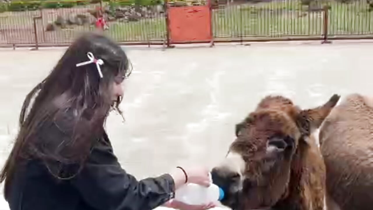 My new friend 😊 - Video von EvaCake Cam-Model