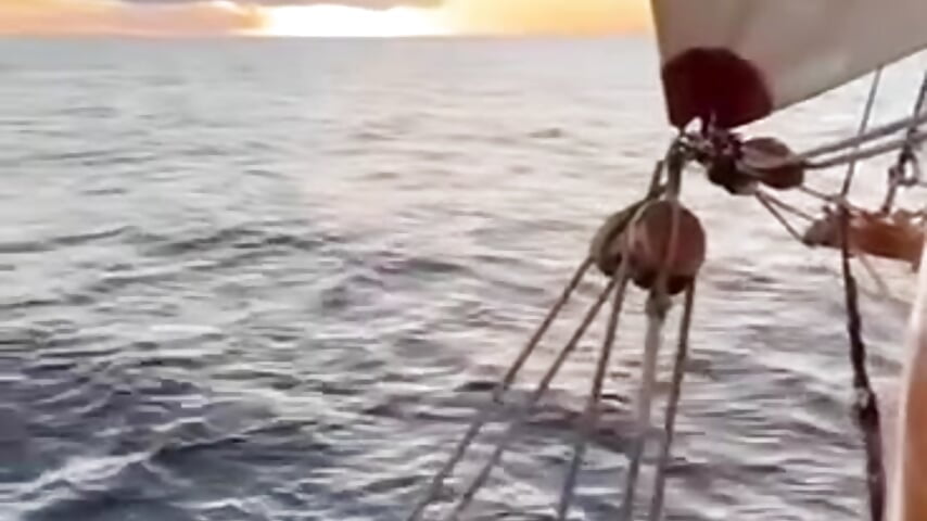 Atomixis kamerás modell  8036. kiemelt videója