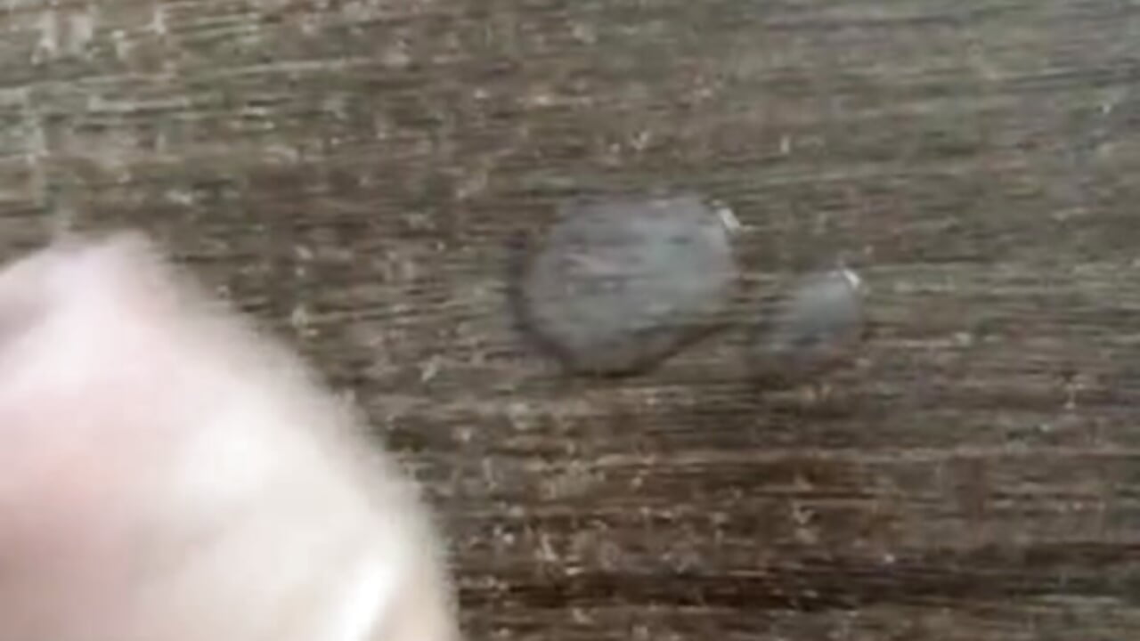 cum - vídeo de la modelo de cam Sk8ter_Ts