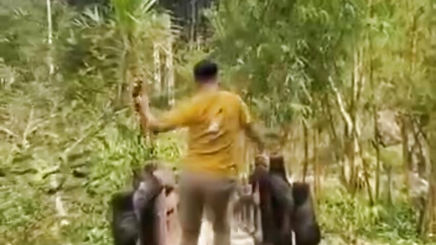 profile-intro-video-1774755537 - vídeo de la modelo de cam BaoWenzday