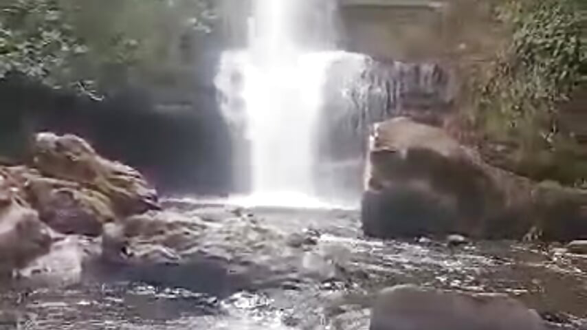 1000419350 - video by rolabonita26 cam model