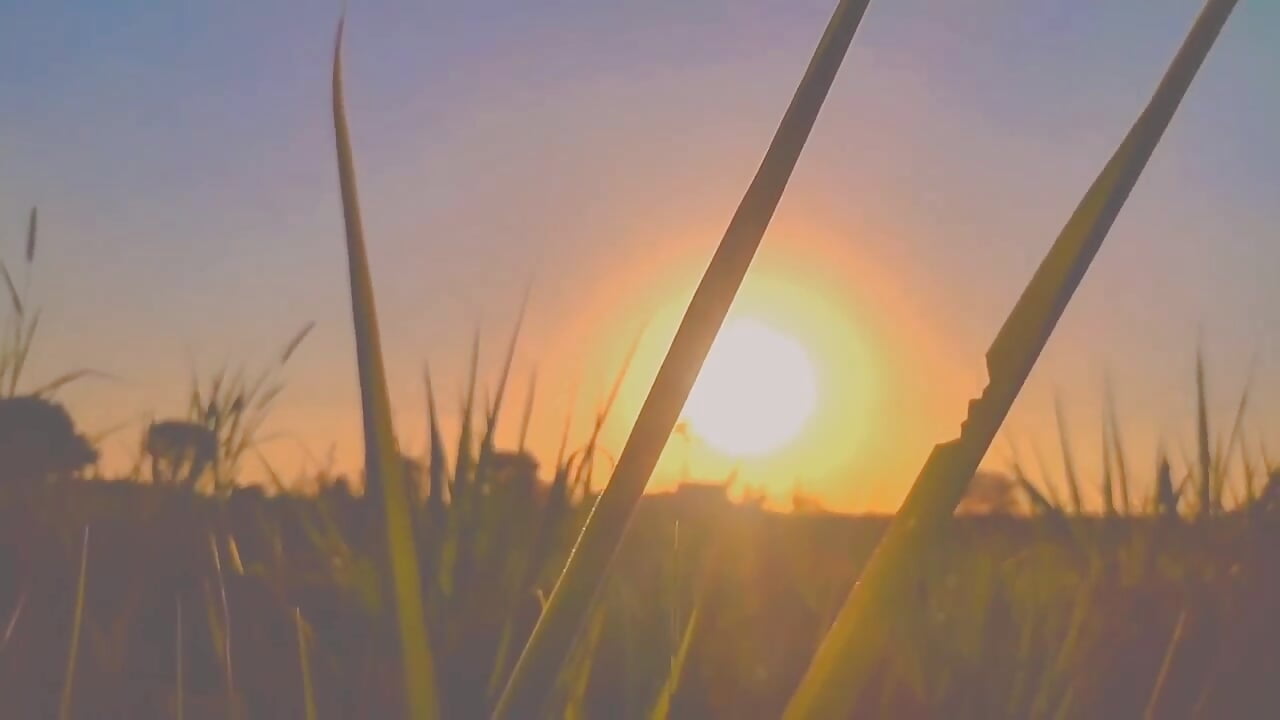 I like it this nature – видео вебкам-модели hiikavya