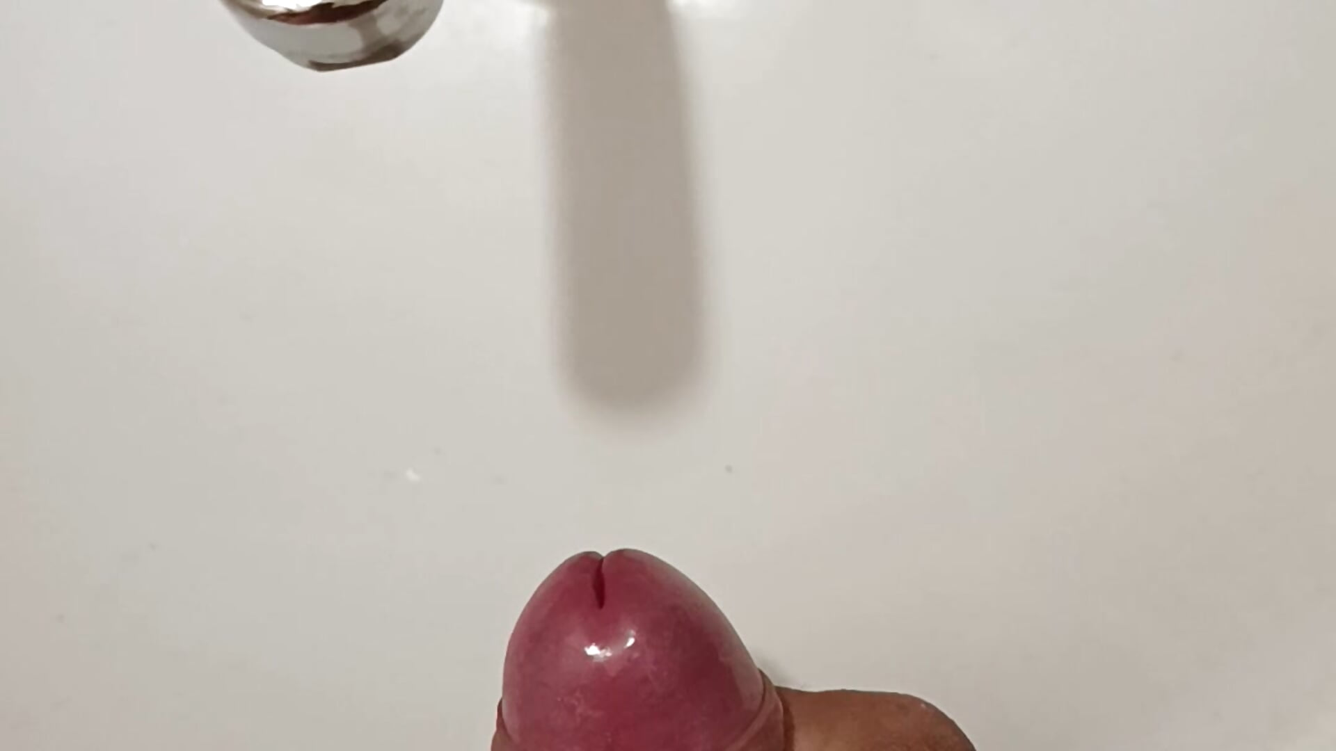 1000002141 - video van adams0224 cam-model