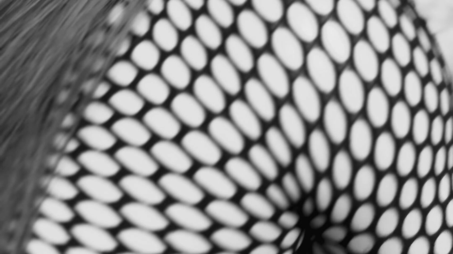 IMG_9961