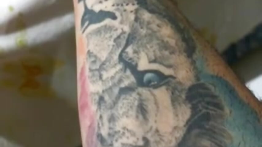 CCPIRES - 摄像头主播热门视频 3518