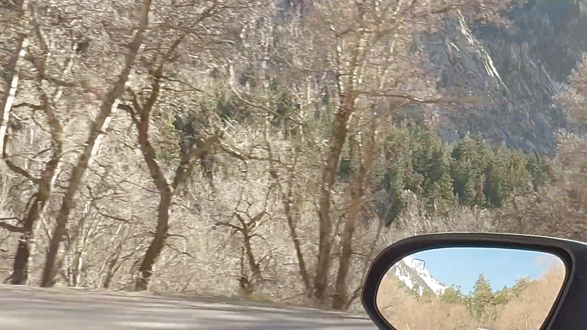 IMG_1371 - video av gr290 cam model