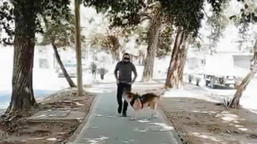 Thiago - video di Thiago310 modella di cam