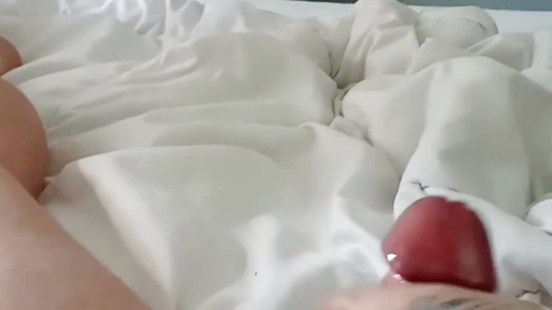 1000015962 - video by Jedrullo