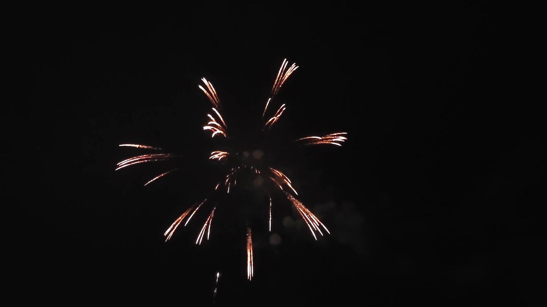 花火 — filmik mami-rin, modela(-lki) na kamerkach