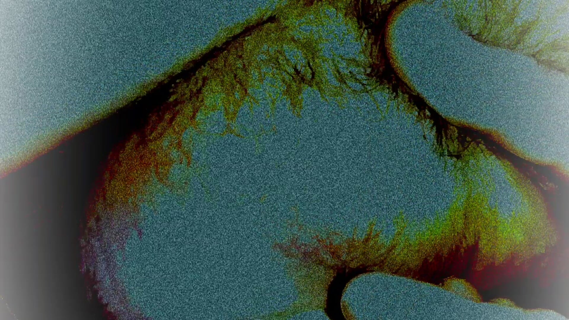 1000008377 - فيديو من vnsjdj موديل الكام