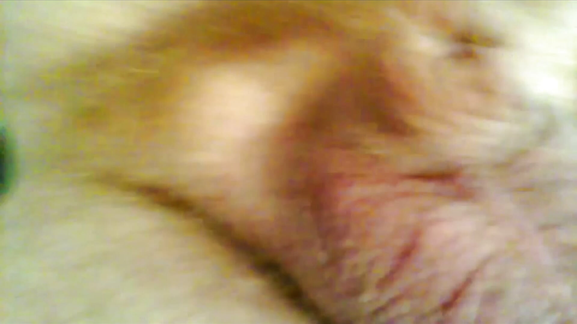 A Newborn Piglet's First Struggle - video by thefuckingdick6868 cam model