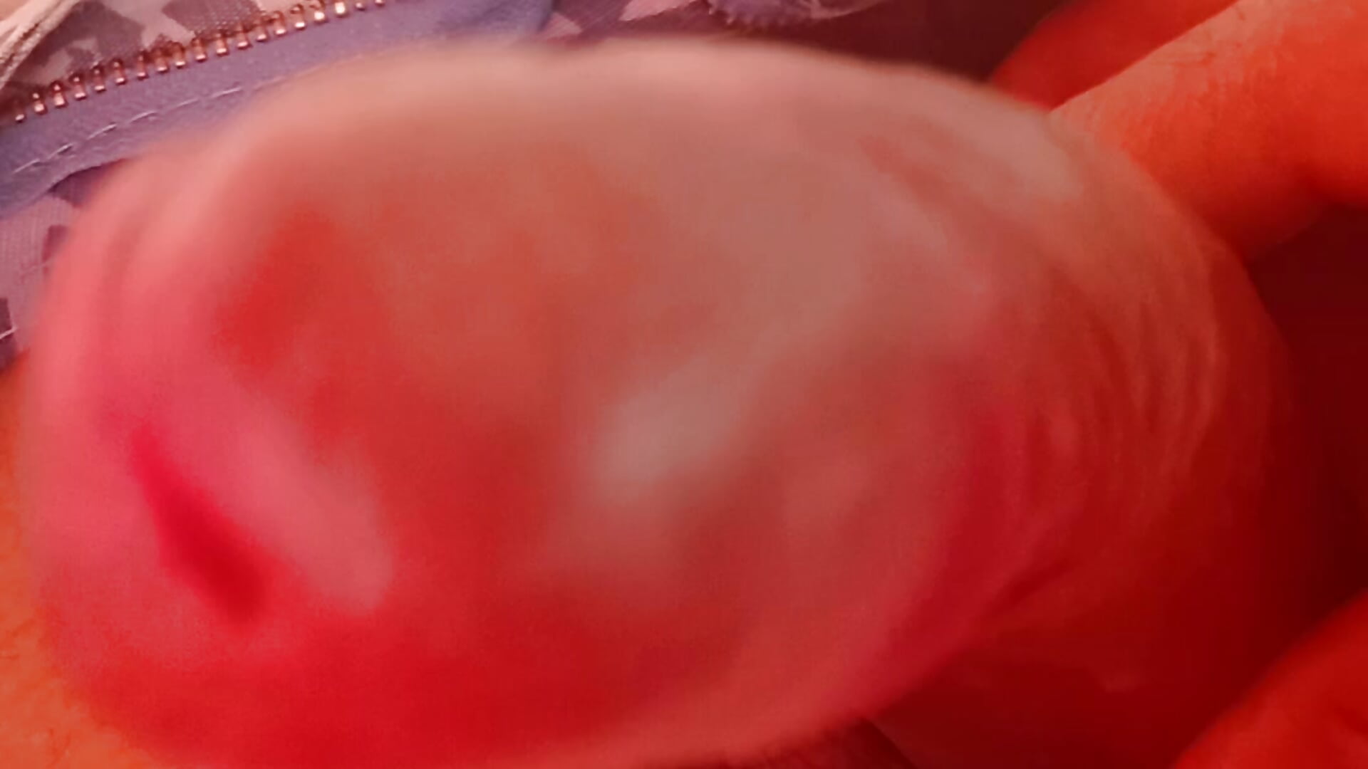 Tesão - วิดีโอโดย safado890p โมเดลแคม