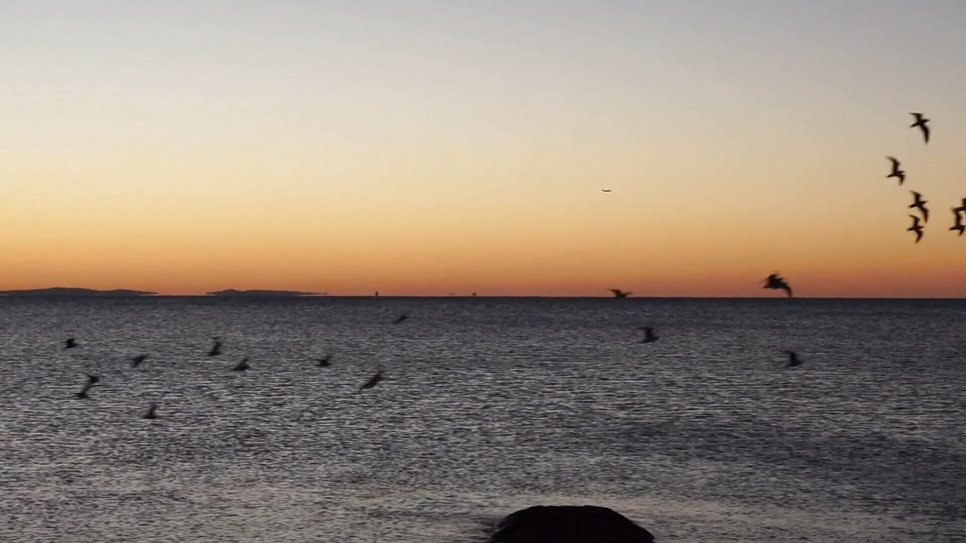 Simple Sunset Quote Video - video by miss_ethel cam model