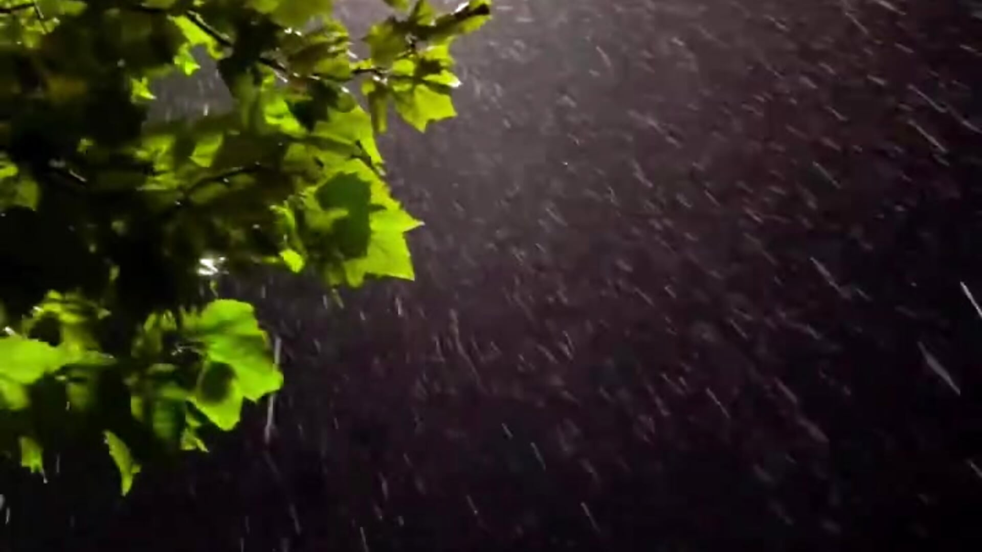 喜欢下雨天☔️ - video oleh Xiaoyunduo1 kamera model