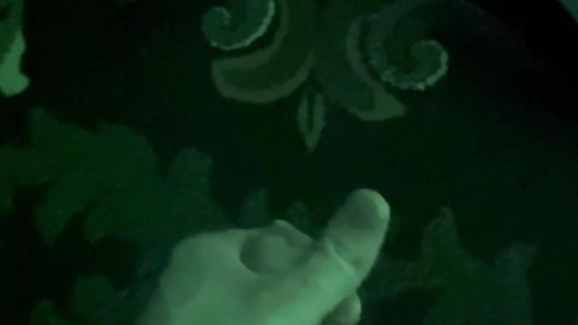 Make my 🍆 harder - vídeo de Daniel_Yumm modelo de câmara