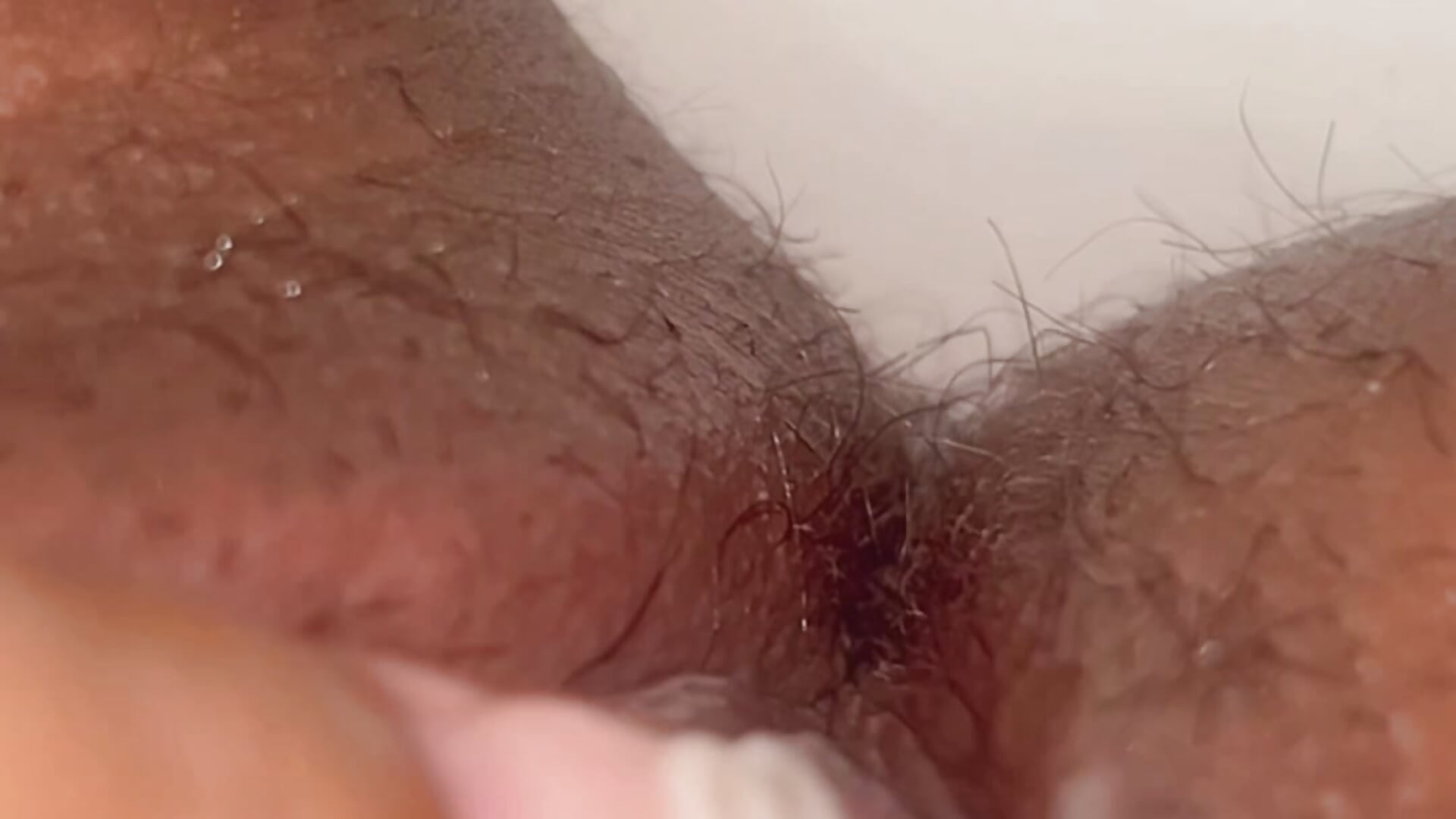 bucetinha molhada - vídeo de lysapimentinha modelo de câmara