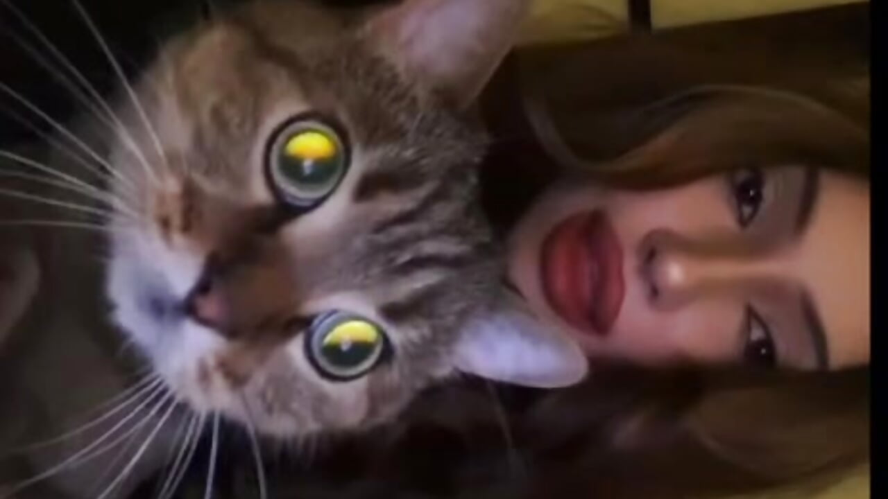 My kitty - CurveControl主播的视频