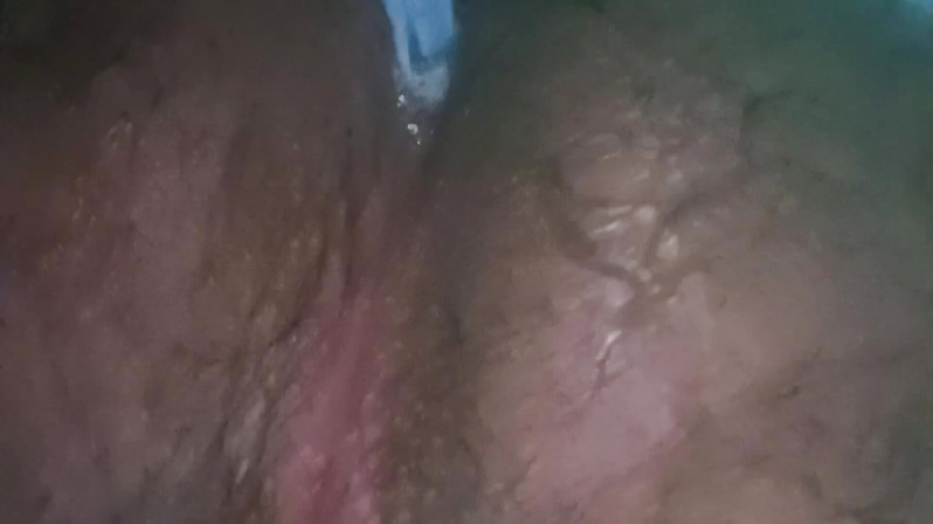 Me estaba bañado y me metí un cepillo de dientes en el ano 🫣🤤 – video modela na kameri lobo_caliente37