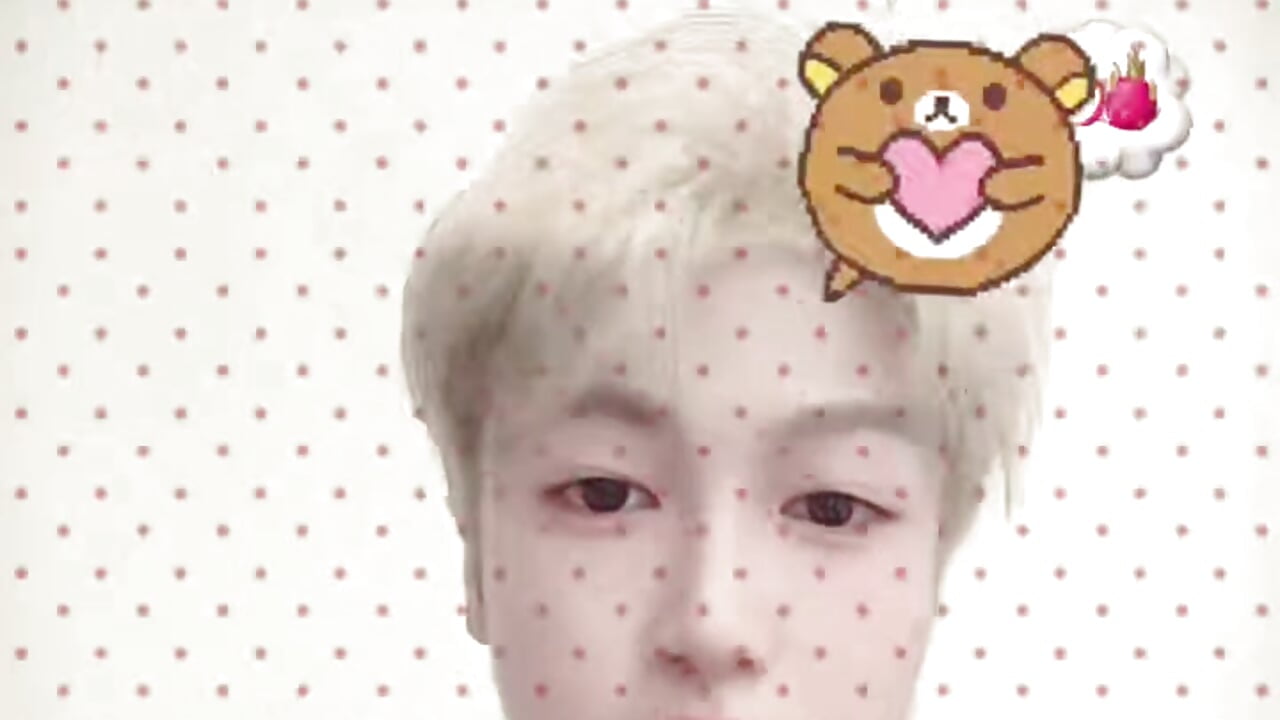 爱俊 - video van MS-818 cam-model