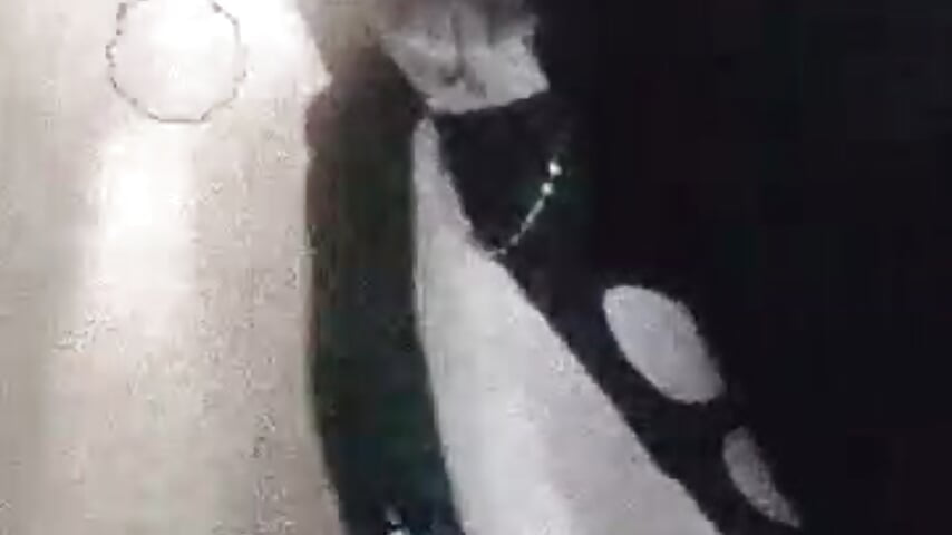 HOT POWER - Video von PODEROSO_SAMAEL Cam-Model