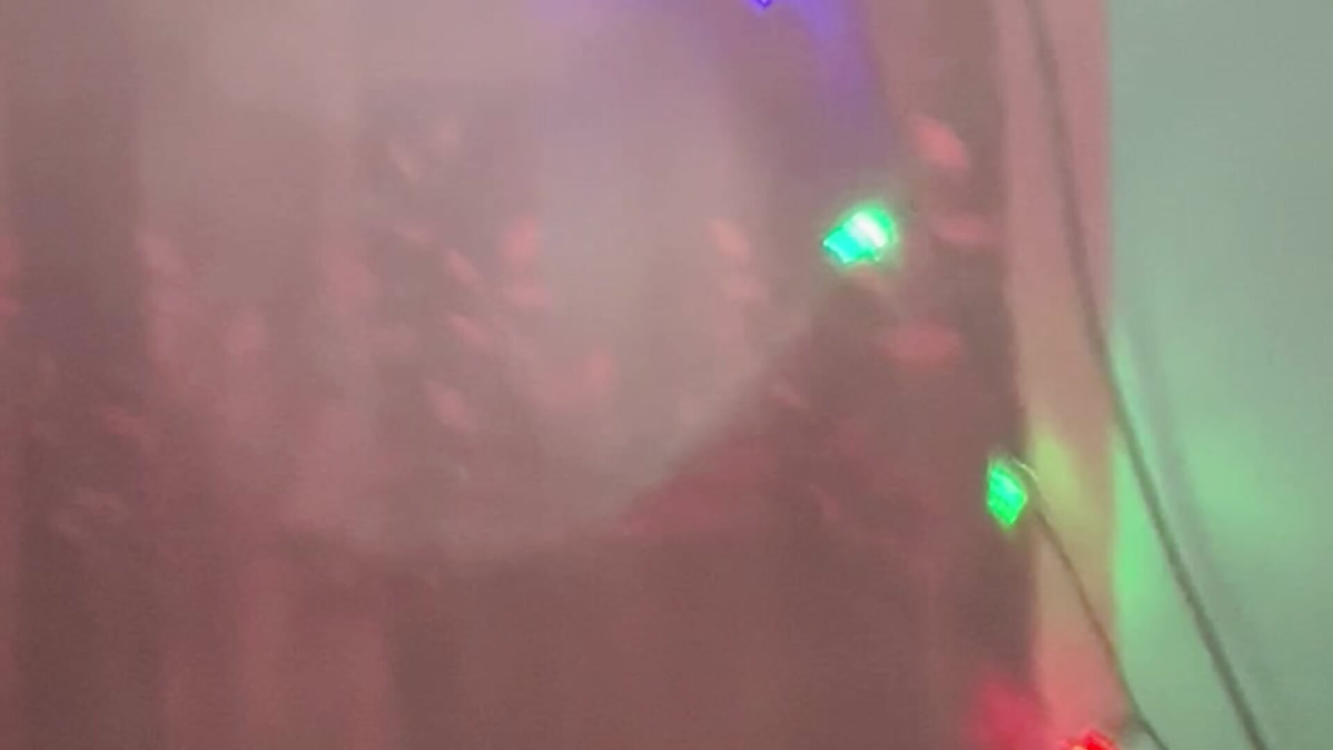 Pusy zoom camera sex