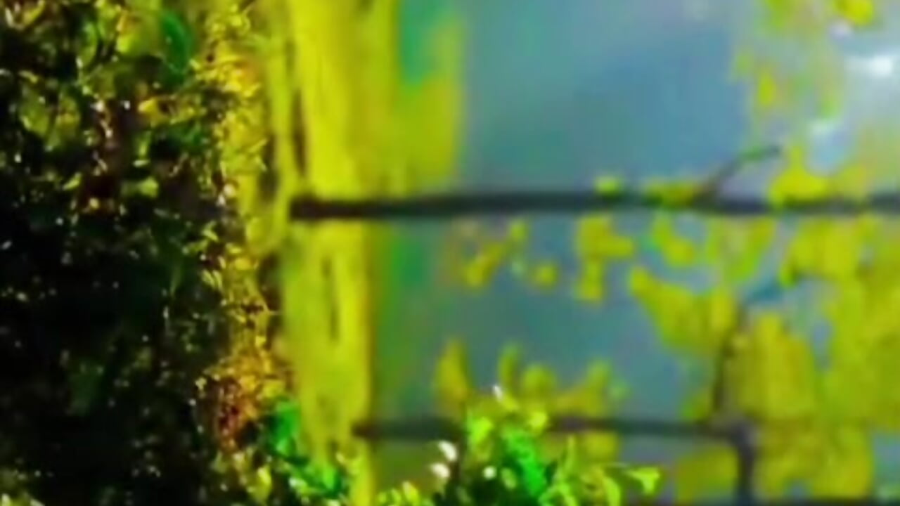 👉SukooN - فيديو من velvet-charmm موديل الكام