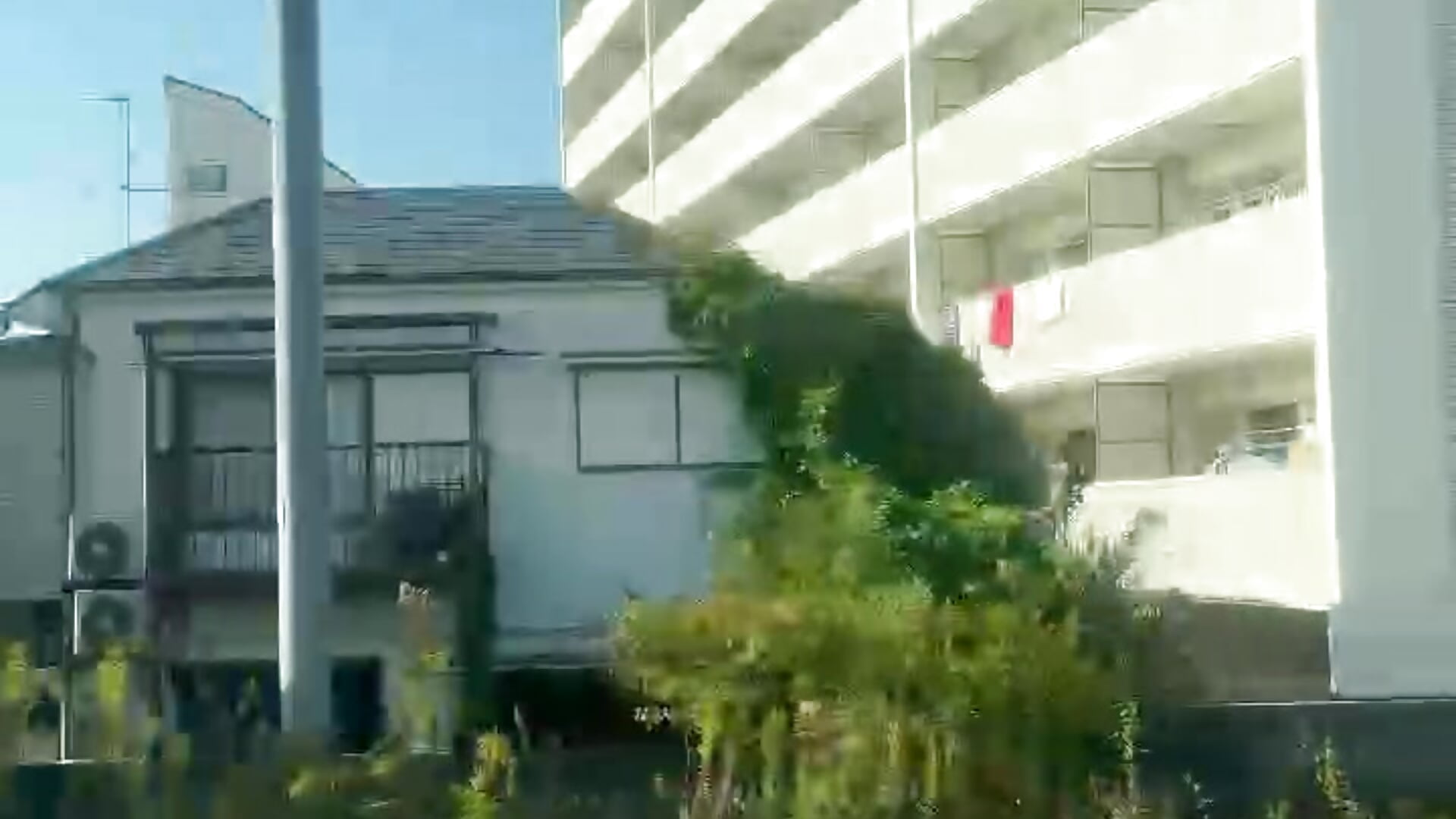 電車 - video by arisa_ch