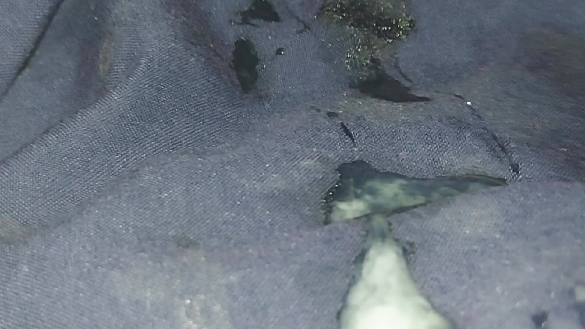 20260412_043101 – видео вебкам-модели hahinano1