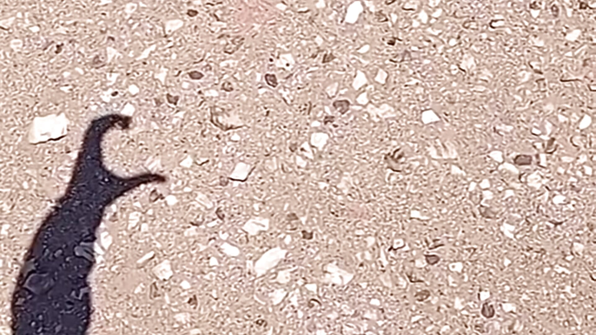 Achrafbobo Video Thịnh Hành của Người Mẫu trên Cam 7501