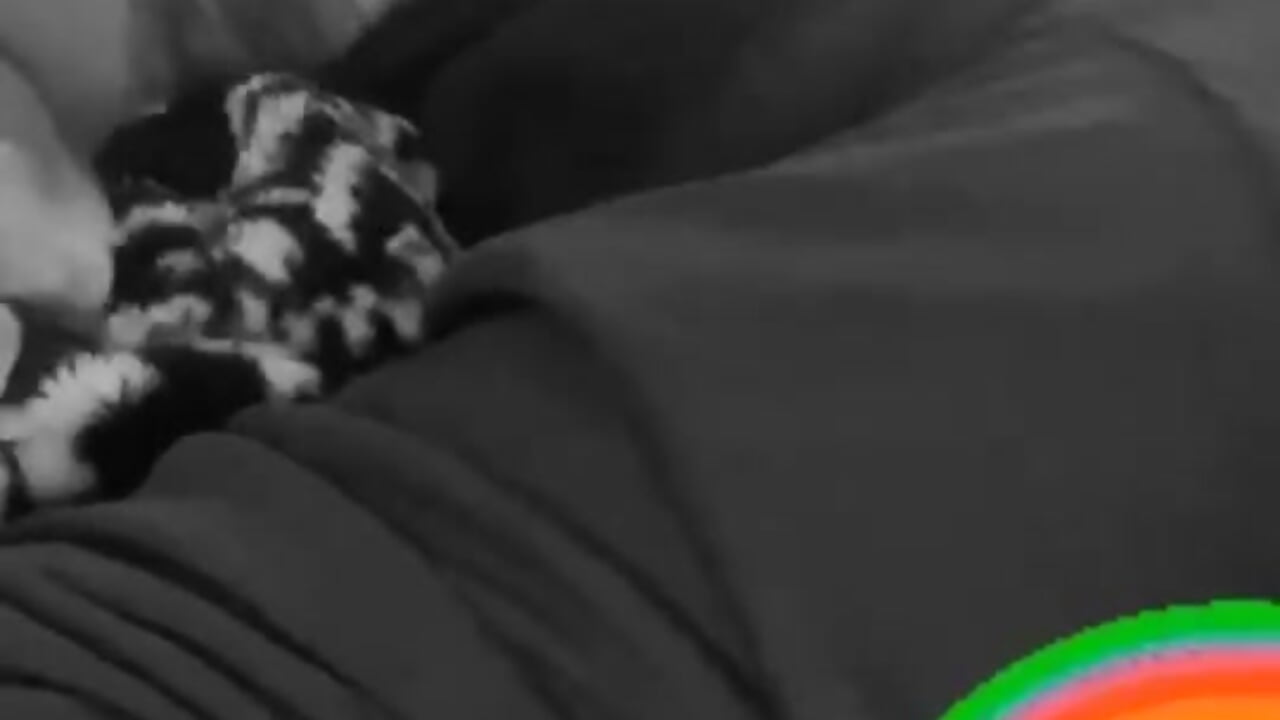 CA4FE86D-C0EF-4E9C-A73F-86B990BEE43C - video của người mẫu cam MoolahBaby42069