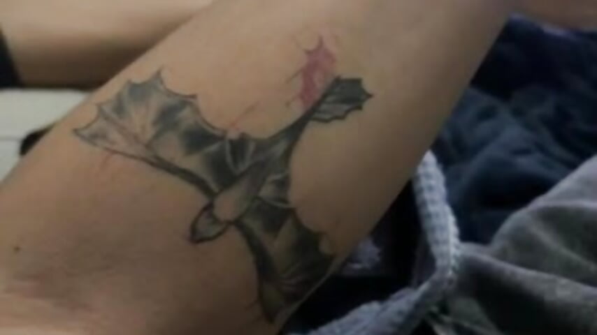 79713536344__A059E571-F08D-4260-8B37-EB5AC5D2F546 – видео вебкам-модели Dilofauro