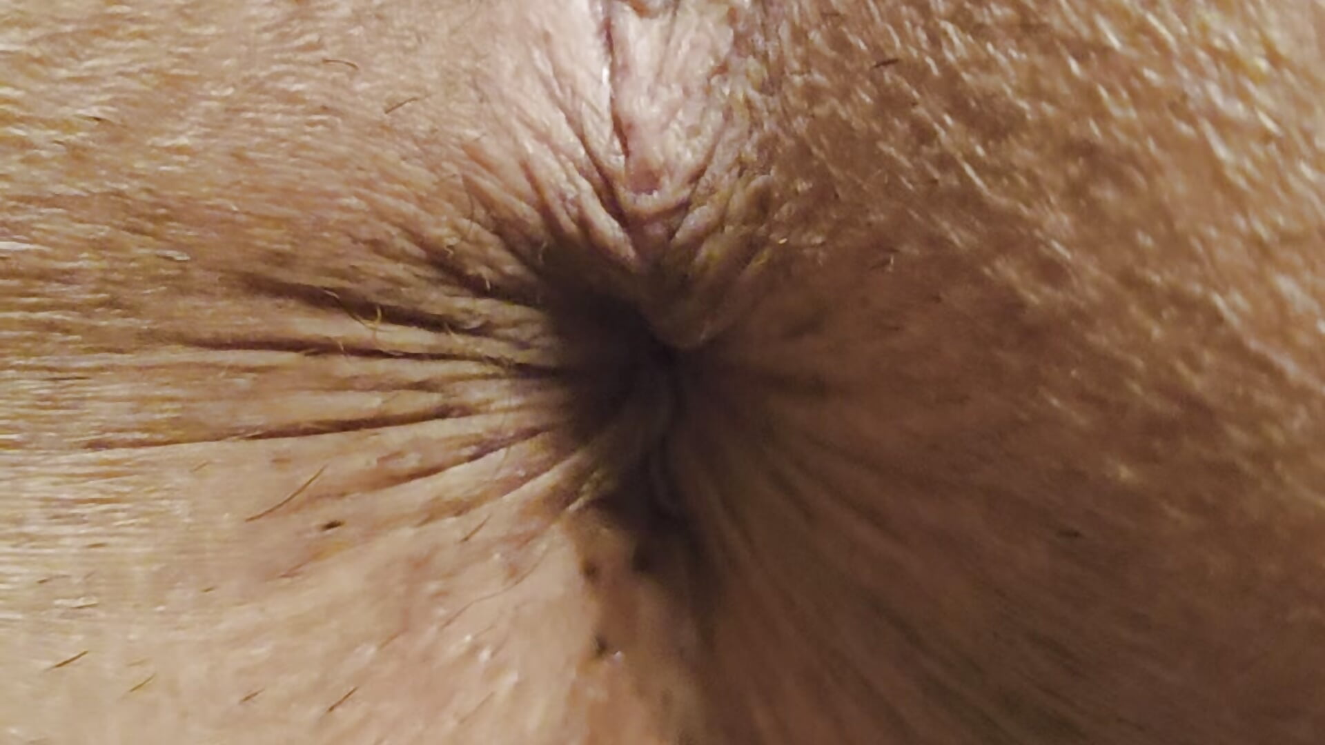 Asshole - video av SilvyDiamond cam model