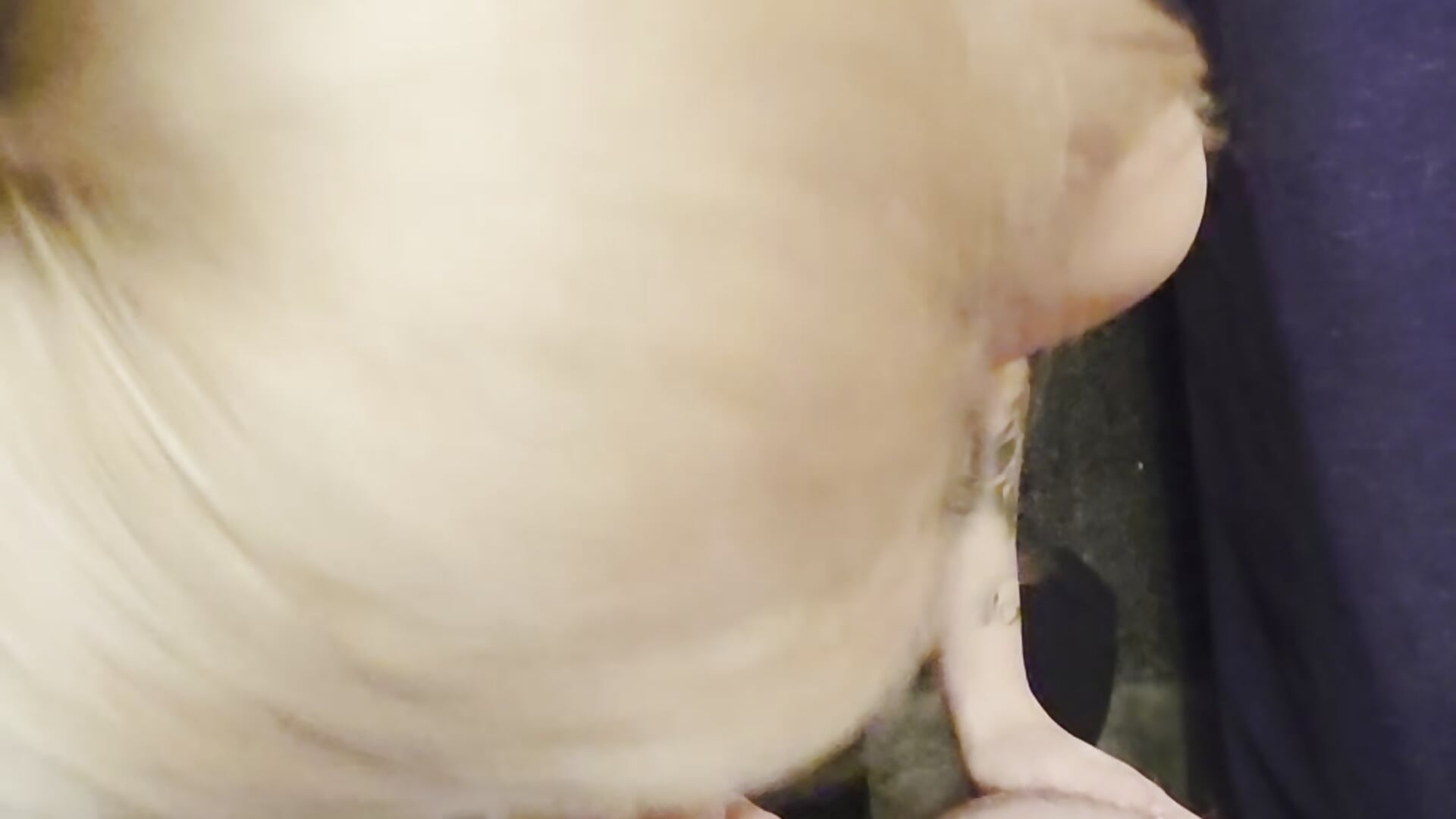 Blowjob and cum facial - video SilvyDiamond kameramallilta