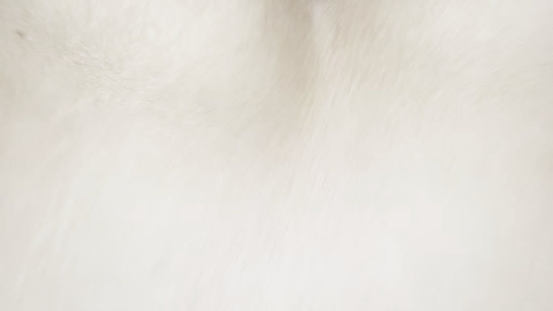 Anal sex - video by SilvyDiamond cam model