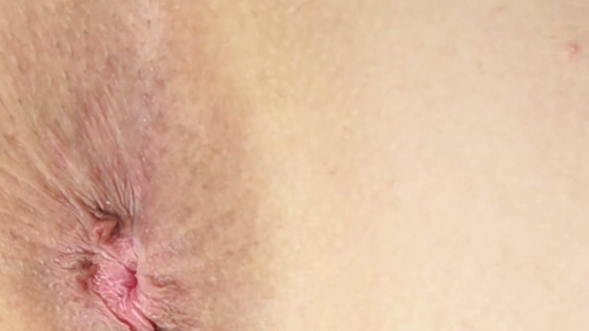 Close-up Butthole Winking - video by rileylogan cam model