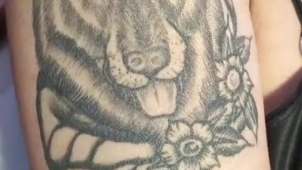 tatto - ক্যাম মডেল velveth_noir-এর ভিডিও