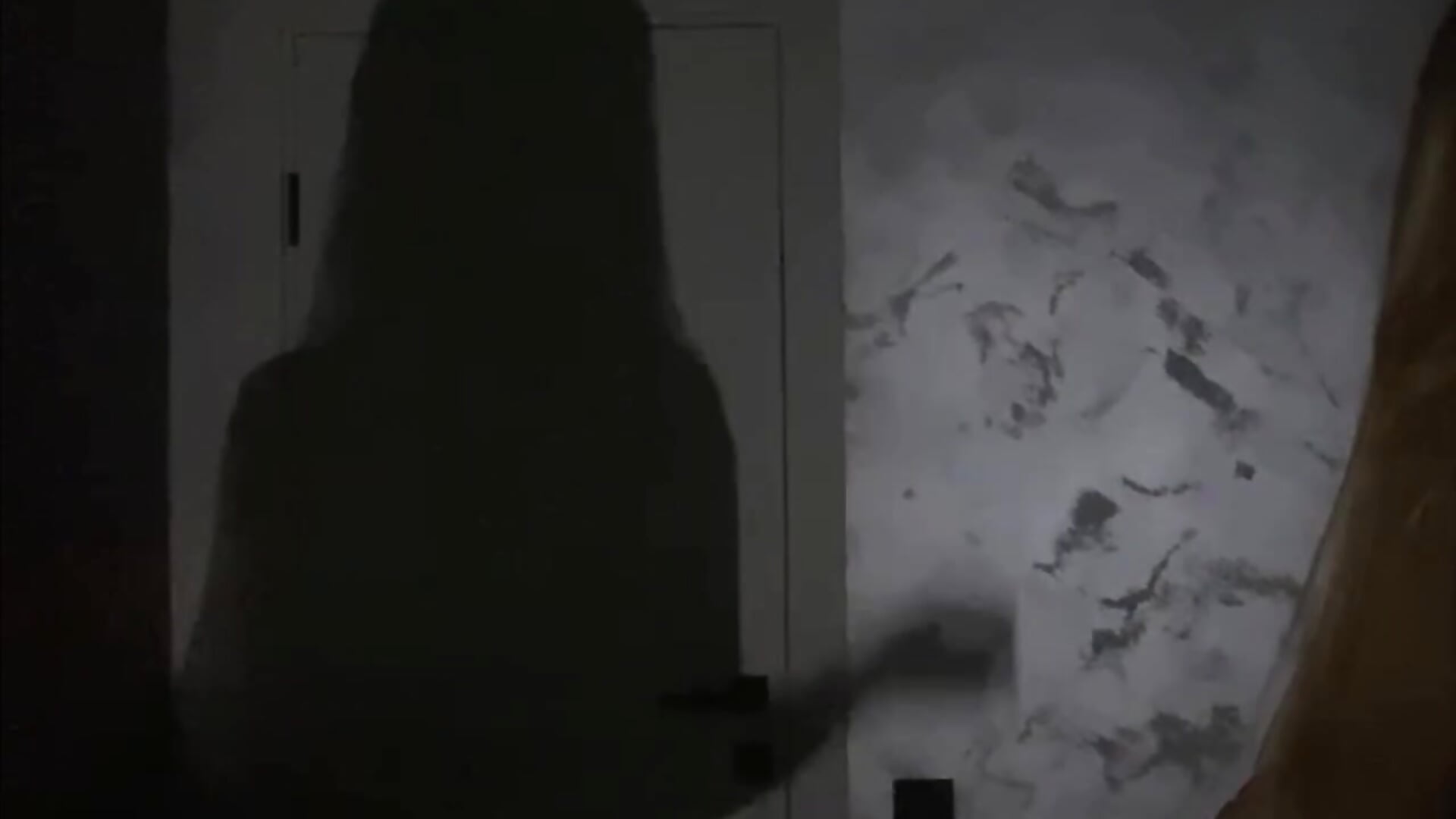 1000095890 - video silver_girl kameramallilta