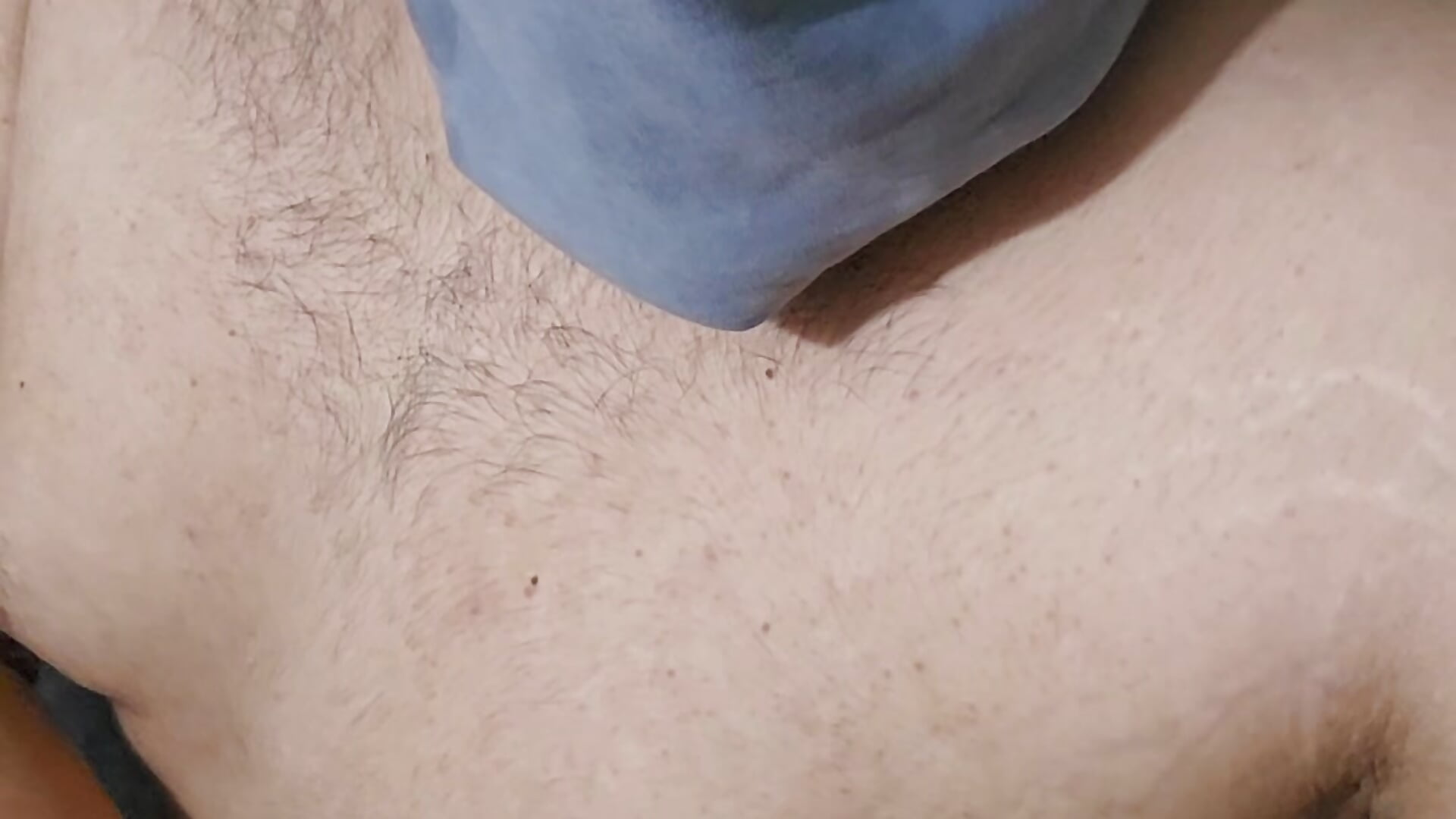 OsitoPeluditoSabrozito