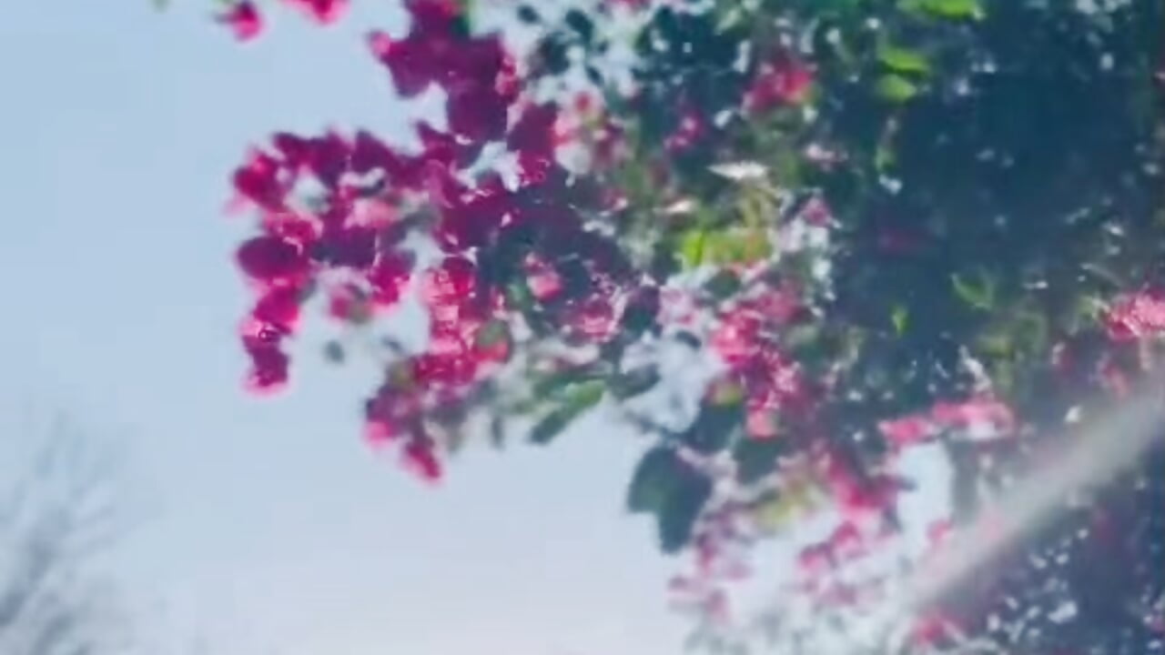 💓💓 - video Bold-Ankita kameramallilta