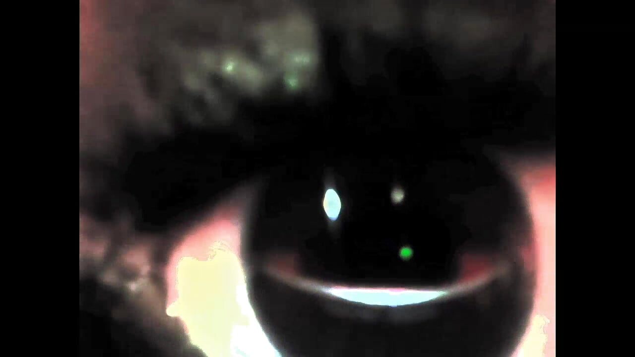 NOISy/WHATEVERsy - Part of 1 of my hypn0 tracks from collection3, explanation of video complete! - video od modelky/modela TgirlBrat