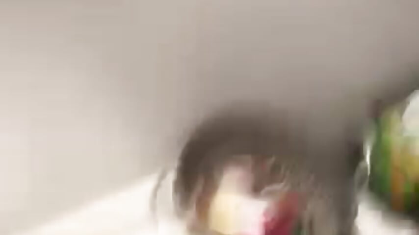 Teaser - video av Swervinanpervin cam model