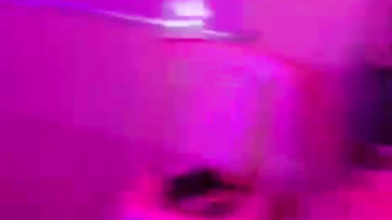 Mis tatuajes - video by PadreLeche