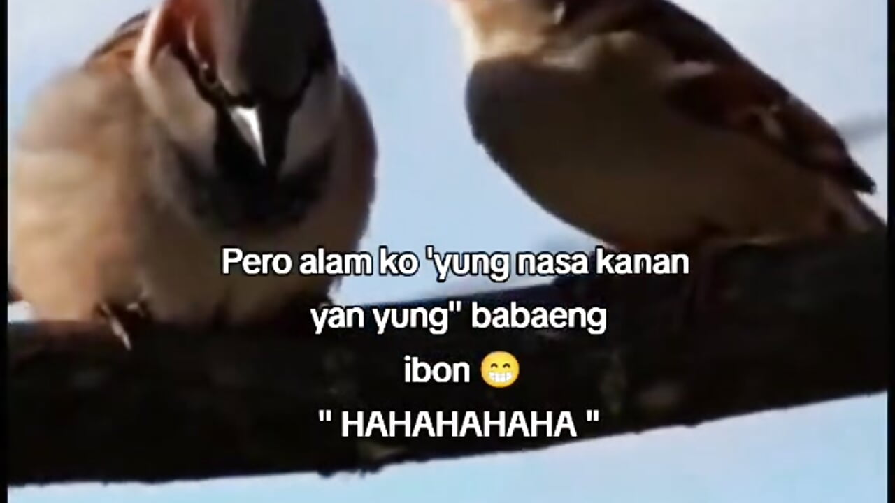 Hmmm🥱 - video oleh zizlingbootybump kamera model