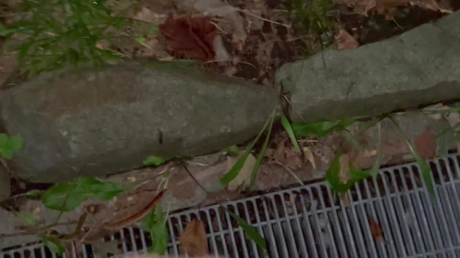 やがいー　射精無し - video oleh kurage164 kamera model